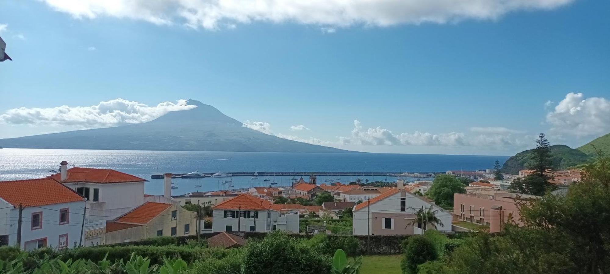 Quinta Peixinho Rc Dt Διαμέρισμα Horta  Εξωτερικό φωτογραφία